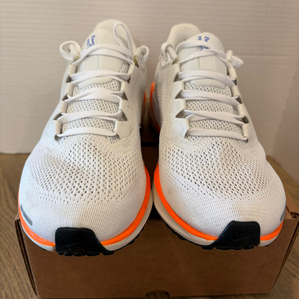 Nike Pegasus 41