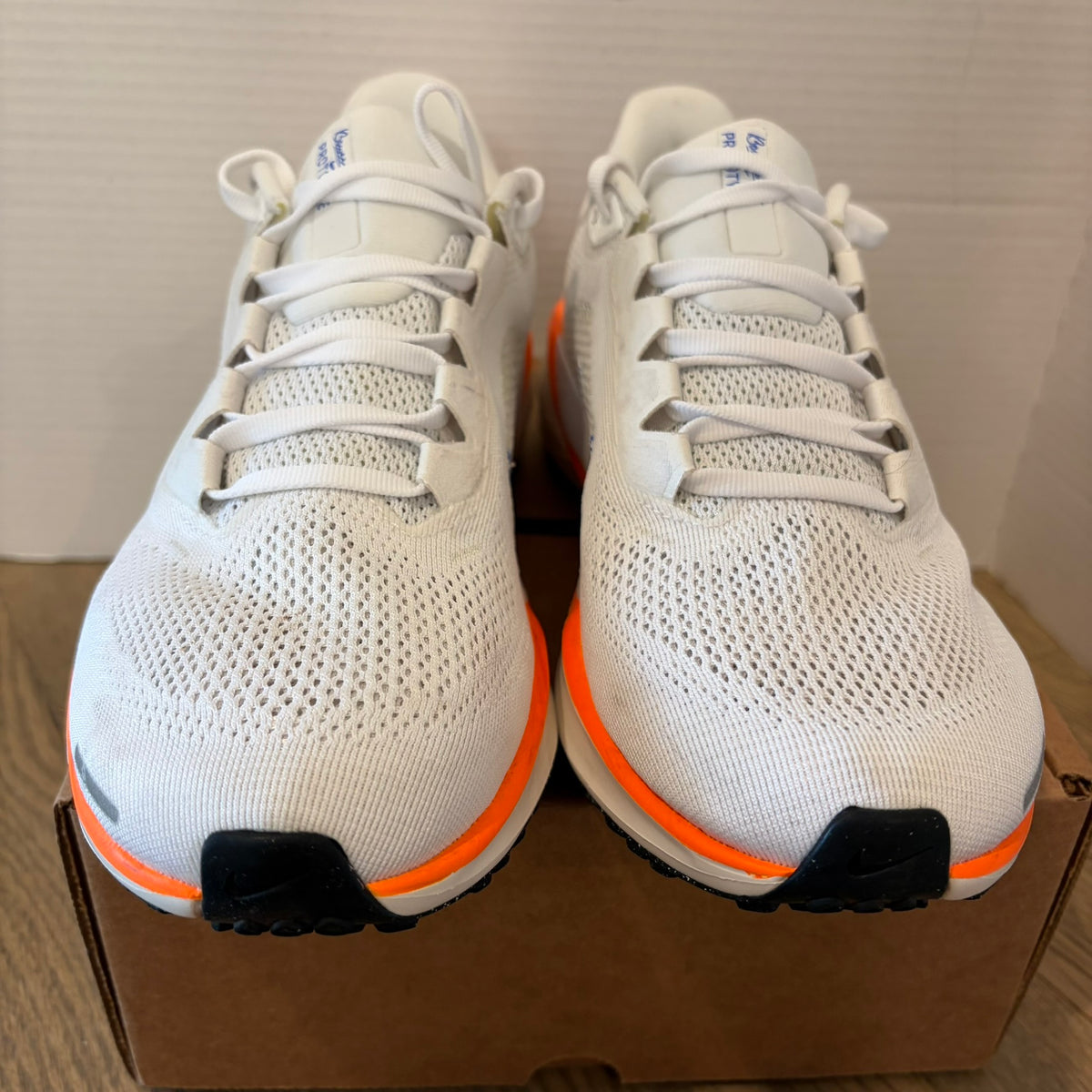 Nike Pegasus 41